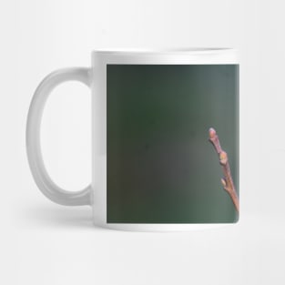 elb first budd Mug